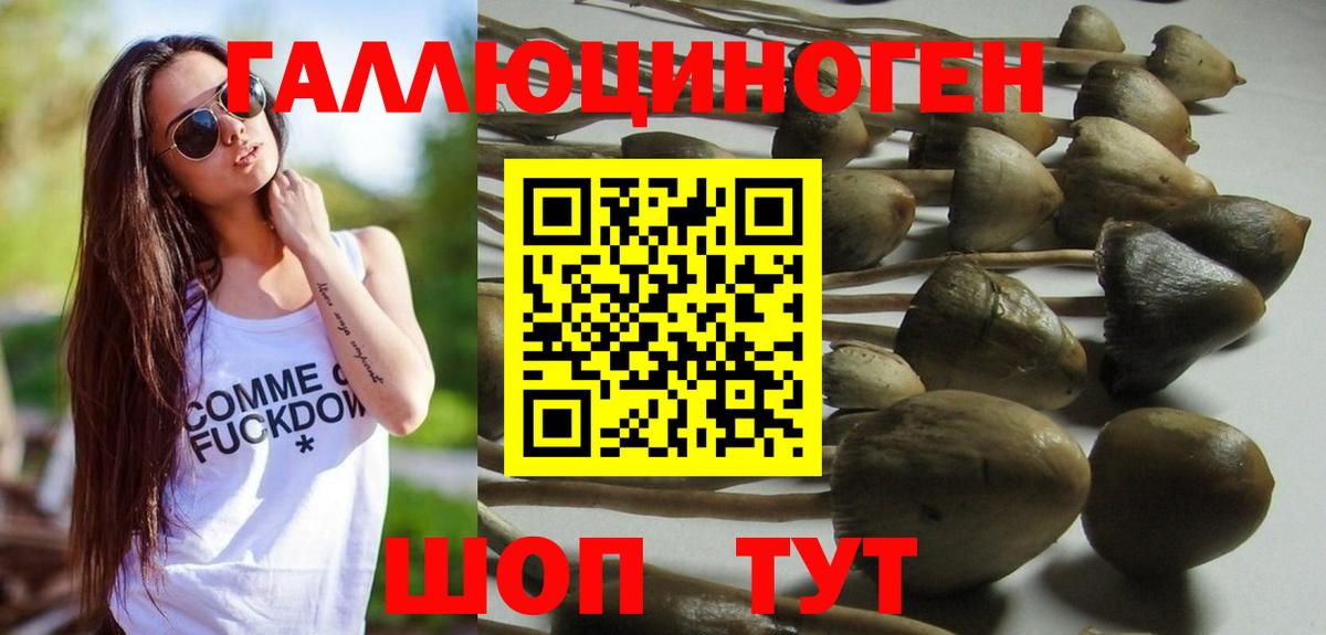 Реж  Галлюциногенные грибы Cubensis  Вход с VPN  Галлюциногенные грибы ЛСД 